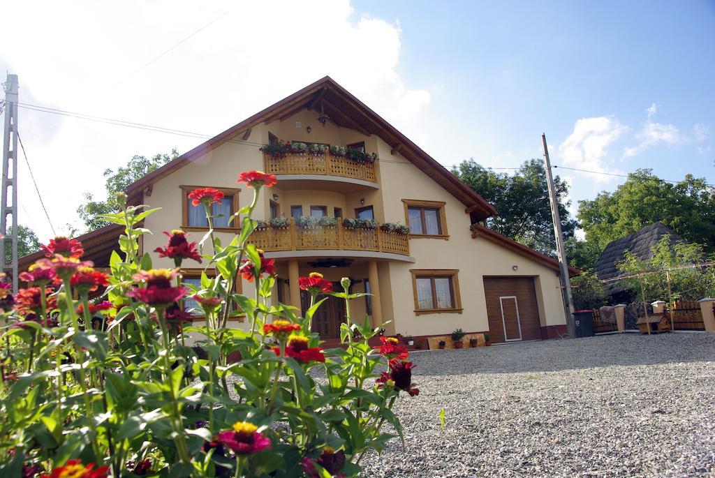 Pensiunea Marioara Breb Exterior photo
